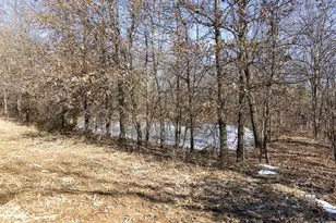 1175 Pike 41, Bowling Green, MO 63334 - Photo 55