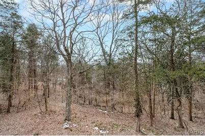 3646 Wheatfield Circle, Byrnes Mill, MO 63051 - Photo 39