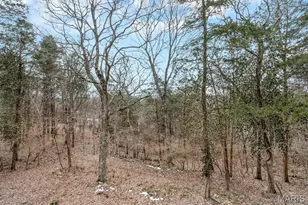 3646 Wheatfield Cir, Byrnes Mill, MO 63051 - Photo 39