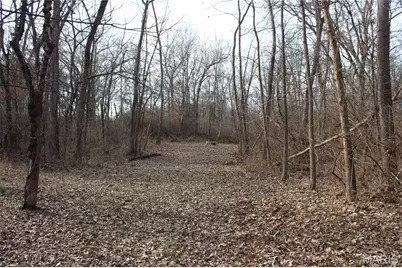 00 Highway 40 61 #61, Wentzville, MO 63385 - Photo 7