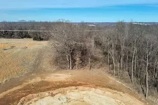 36 Oakview Ct - Lot 11, Troy, MO 63379 - Photo 3