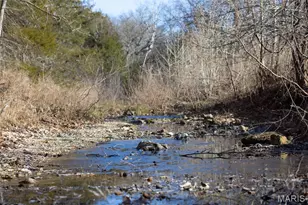 142 Major Dr, Camdenton, MO 65020 - Photo 83