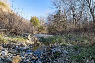 142 Major Dr, Camdenton, MO 65020 - Photo 63