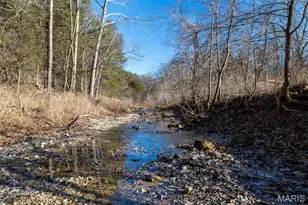 142 Major Dr, Camdenton, MO 65020 - Photo 61