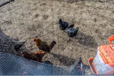 21046 Larson Road, Waynesville, MO 65583 - Photo 39