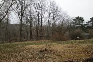 3600 Old Baumgartner, Saint Louis, MO 63129 - Photo 5