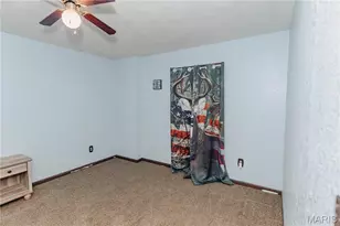 14011 Cobra Dr, Dixon, MO 65459 - Photo 47