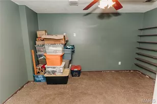 14011 Cobra Dr, Dixon, MO 65459 - Photo 45