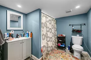 3244 Michigan Ave, Saint Louis, MO 63118 - Photo 37