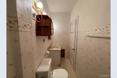 606 Ball Street, Wentzville, MO 63385 - Photo 15