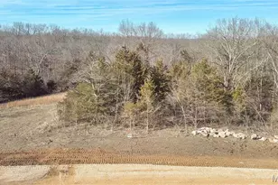 8 Oakview Ct - Lot 16, Troy, MO 63379 - Photo 3