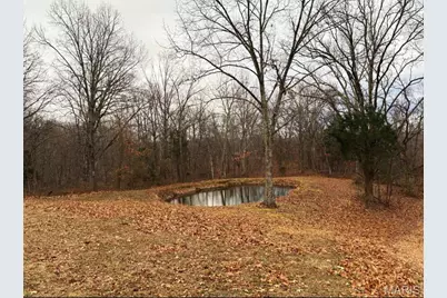701 Catalpa Lane, Jackson, MO 63755 - Photo 5