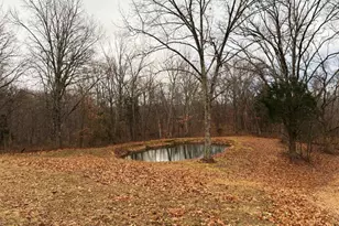 701 Catalpa Ln, Jackson, MO 63755 - Photo 5