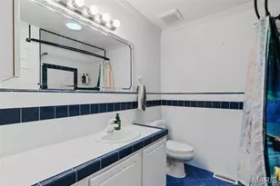 393 Martin Field Ct, Villa Ridge, MO 63089 - Photo 23