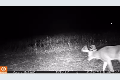 17053 Siloam Avenue, Mendon, MO 64660 - Photo 53