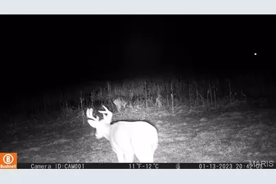 17053 Siloam Avenue, Mendon, MO 64660 - Photo 59