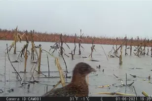 17053 Siloam Ave, Mendon, MO 64660 - Photo 49