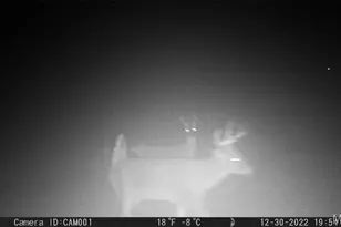 17053 Siloam Ave, Mendon, MO 64660 - Photo 55