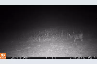 17053 Siloam Avenue, Mendon, MO 64660 - Photo 57