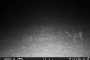 17053 Siloam Ave, Mendon, MO 64660 - Photo 57