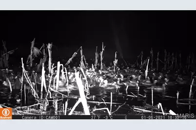 17053 Siloam Avenue, Mendon, MO 64660 - Photo 51