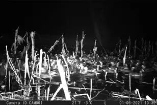 17053 Siloam Ave, Mendon, MO 64660 - Photo 51