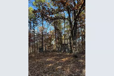 0 Madison 325, Fredericktown, MO 63645 - Photo 25