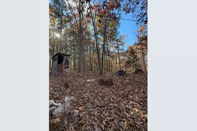 0 Madison 325, Fredericktown, MO 63645 - Photo 13