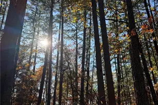 0 Madison 325, Fredericktown, MO 63645 - Photo 21