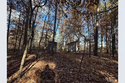 0 Madison 325, Fredericktown, MO 63645 - Photo 17