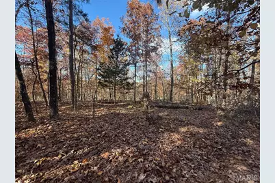 0 Madison 325, Fredericktown, MO 63645 - Photo 15