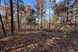 0 Madison 325, Fredericktown, MO 63645 - Photo 15