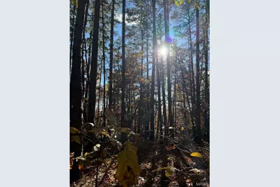 0 Madison 325, Fredericktown, MO 63645 - Photo 23