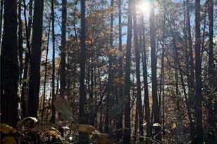 0 Madison 325, Fredericktown, MO 63645 - Photo 23