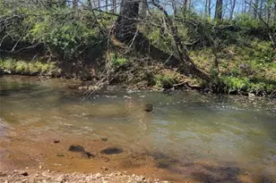 1310 Tillman Rd, Farmington, MO 63640 - Photo 17