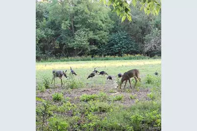 1310 Tillman Road, Farmington, MO 63640 - Photo 21