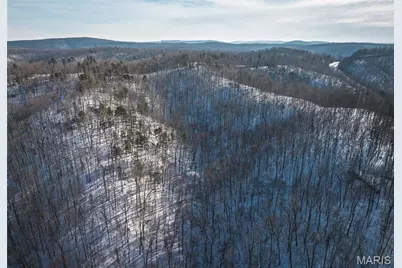 000 Highway 49, Black Jack, MO 63625 - Photo 15