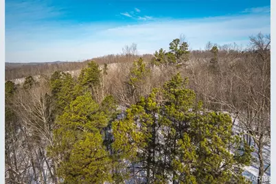 000 Highway 49, Black Jack, MO 63625 - Photo 9