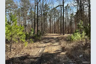 19056 Country Road 427, Summersville, MO 65571 - Photo 59