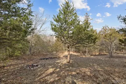 4671 Cedar Drive, Hillsboro, MO 63050 - Photo 11