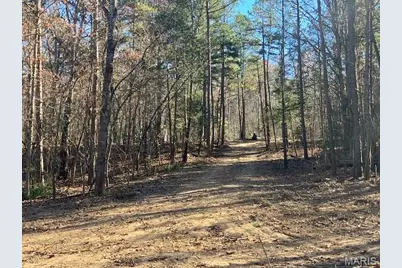 190 Madison Cr 410, Fredericktown, MO 63645 - Photo 1