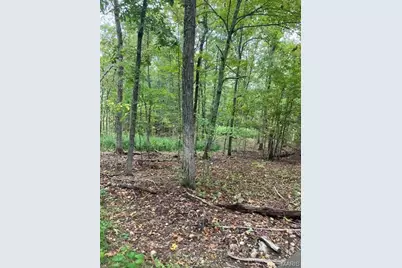 192 Madison Cr 410, Fredericktown, MO 63645 - Photo 3