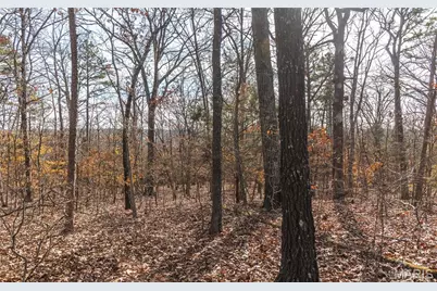 1 Bust Subdivision Rd, Potosi, MO 63664 - Photo 17