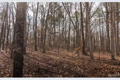 1 Bust Subdivision Rd, Potosi, MO 63664 - Photo 9