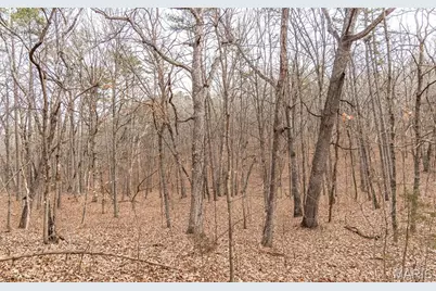 2 Mayo Ln, Potosi, MO 63664 - Photo 21