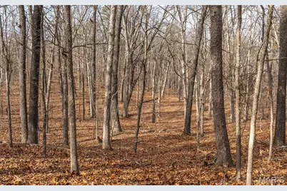 2 Mayo Ln, Potosi, MO 63664 - Photo 15