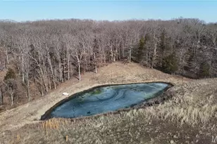 111 Kane Ln, High Hill, MO 63350 - Photo 17