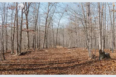 000 County Road 352, Piedmont, MO 63957 - Photo 37