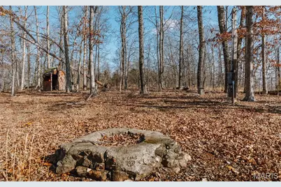 000 County Road 352, Piedmont, MO 63957 - Photo 31