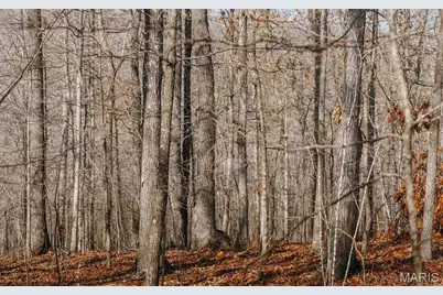 000 County Road 352, Piedmont, MO 63957 - Photo 35